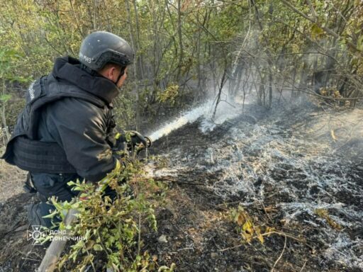 На Донеччині рятувальники ліквідували 17 пожеж за добу, 6 з яких виникли внаслідок обстрілів